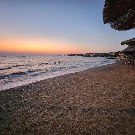 Daire Dolphins Eye *